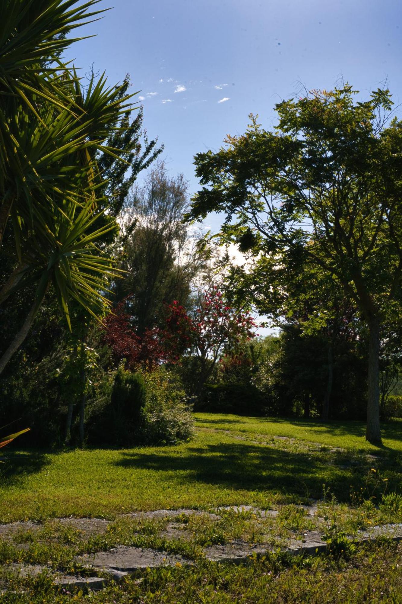 Hotel Kora Park